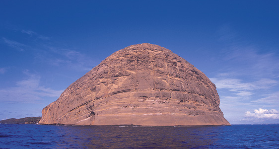 François Leguat Tortoise Reserve