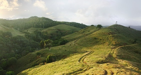 Dodo Trail Mauritius