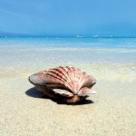 FTI Touristik